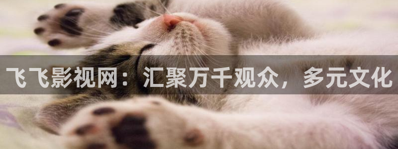 窝窝影院在线播放免费观看