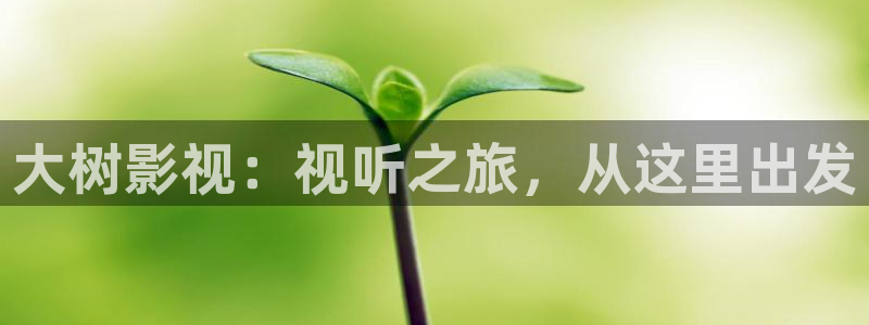 窝窝免费高清电影