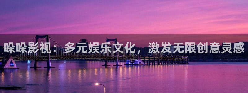 窝窝网电影电视剧